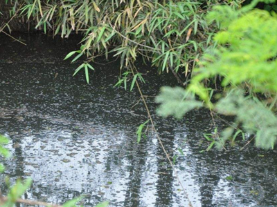 深圳水質(zhì)檢測(cè)