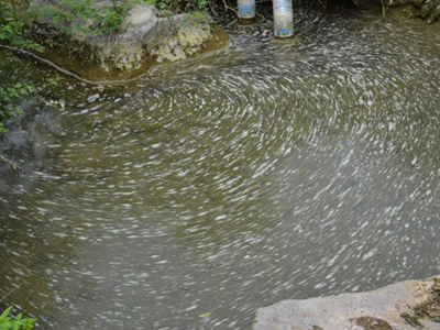 深圳水質(zhì)檢測