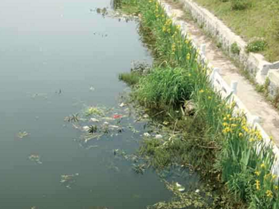 深圳水質檢測機構