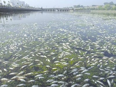 深圳水質(zhì)檢測機(jī)構(gòu)